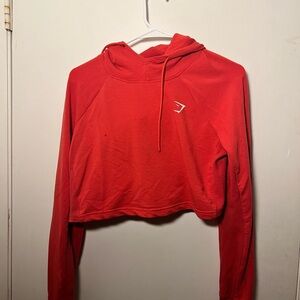 Vibrant Gymshark Hoodie